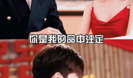 婚后恋爱的电视剧,揭秘荧幕中的幸福秘籍