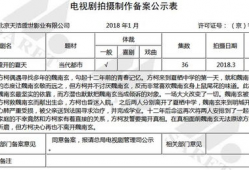 电视剧备案公示查询,热门剧集背后的故事与悬念