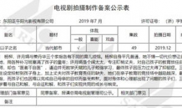 电视剧备案公示查询,热门剧集背后的故事与悬念