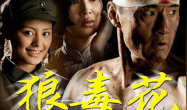 电视剧狼毒花演员表,实力派明星齐聚演绎传奇抗战故事