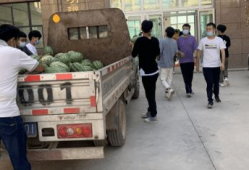 临泉吃瓜最新事件爆料新闻,最新爆料揭露惊人内幕