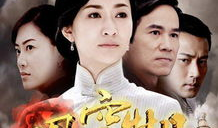 凤穿牡丹电视剧,宫廷爱恨情仇的华丽演绎