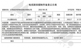 电视剧备案公示查询,热门剧集背后的故事与悬念