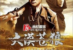 大漠苍狼电视剧,烽火岁月里的忠诚与信仰