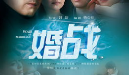 婚战电视剧,爱恨交织的情感漩涡