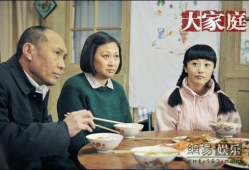 电视剧大家庭剧情介绍,温情岁月里的亲情纠葛