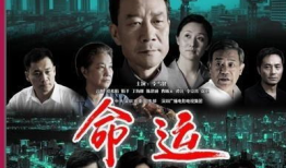 命运电视剧,命运交织的悲欢离合